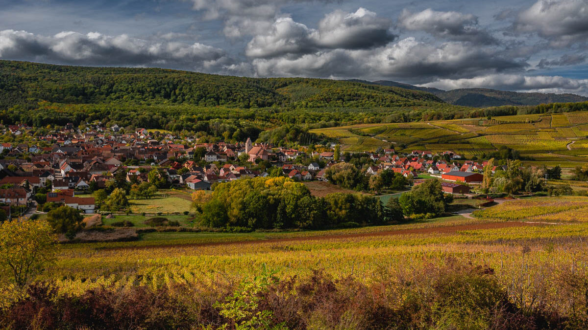 Ohrschwir - am Anfang der Route des Vins