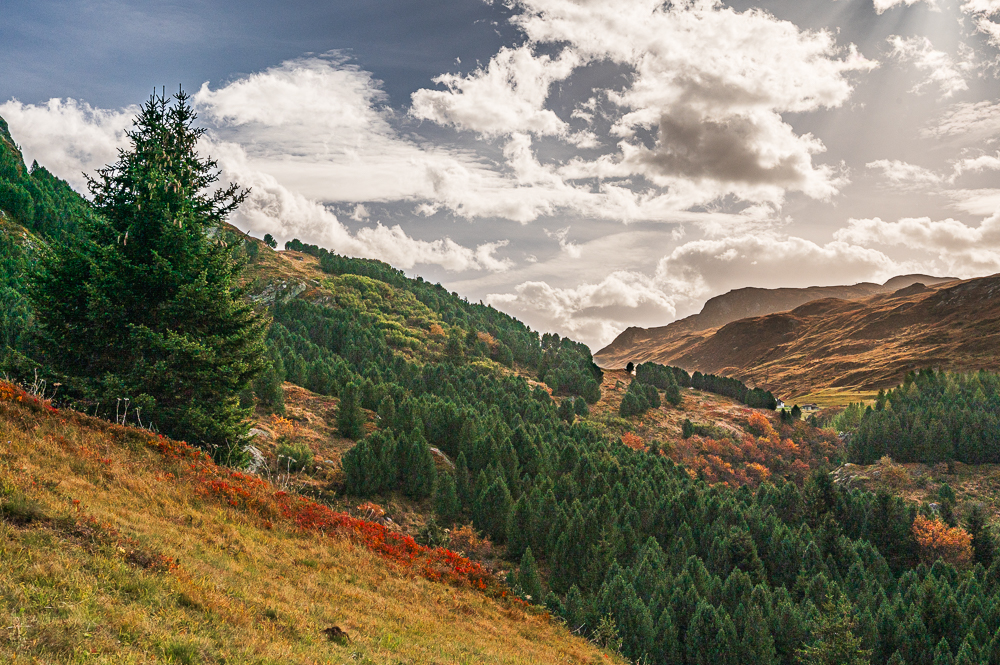 Julierpass - Ausblick Berge