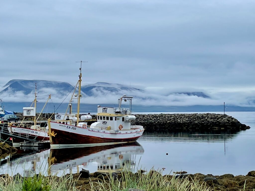 Alte Fischerboote, umgebaut für das Whale Watching