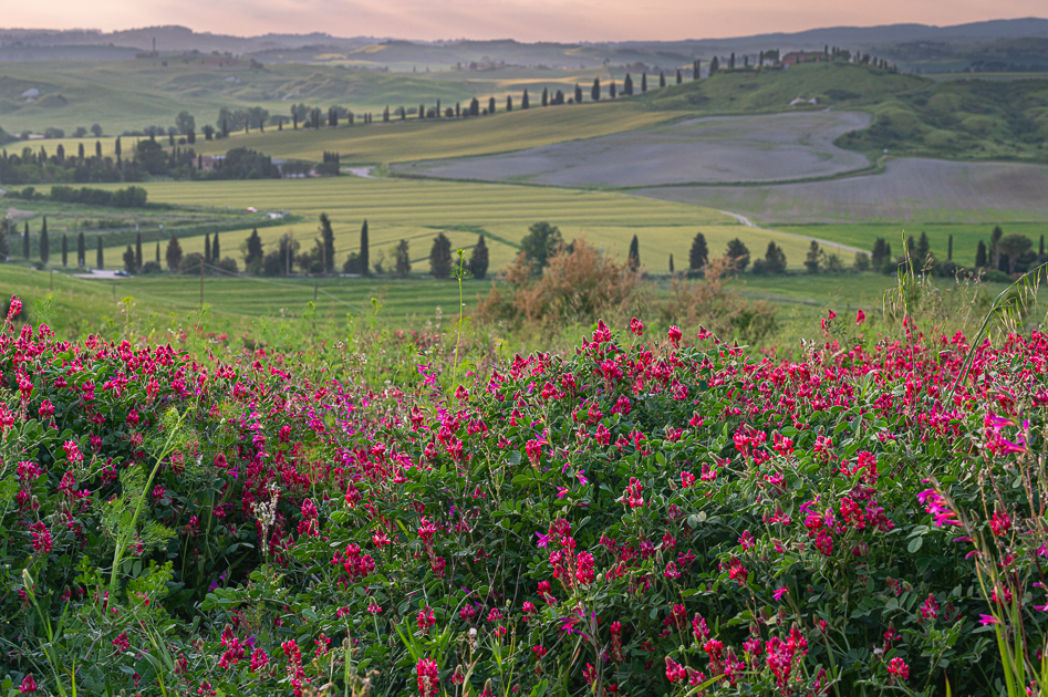 Crete Senesi