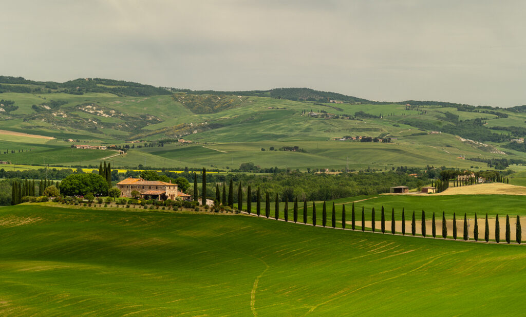 Poggio Covili - Ausblick auf dem Rückweg von Bagno Vignoni