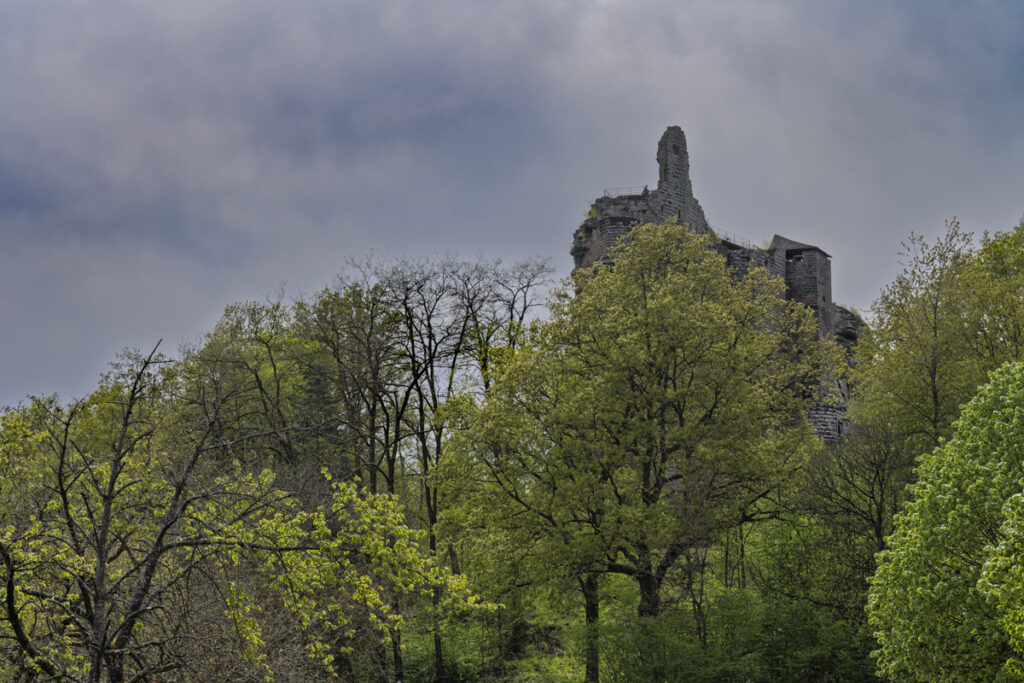 Château Fleckenstein im Wald