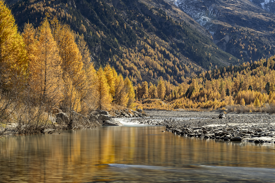 Der Ova da Bernina schlängelt sich doch sein Bett