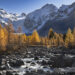 Goldene Lärchen vor dem Morteratschgletscher