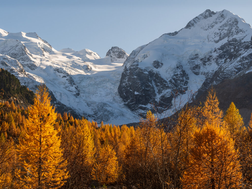 Morteratschgletscher oberhalb der goldenen Lärchen